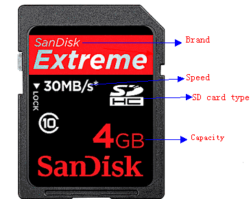 SD Card